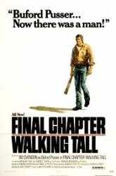Final Chapter Walking Tall - Şeriful din Tennessee 3 (1977)