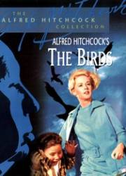 The Birds - Păsările (1963)