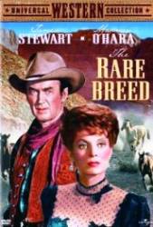 The Rare Breed - Drumul spre Texas (1966)