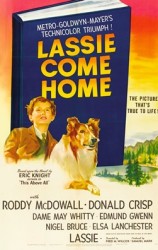 Lassie Come Home - Lassie se intoarce acasă (1943)