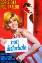Do Not Disturb (1965)