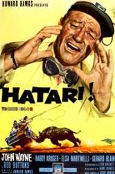 Hatari (1962)