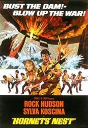Hornets Nest (1970)