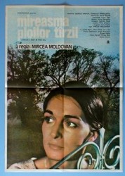 Mireasma ploilor târzii (1984)