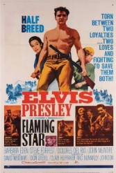 Flaming Star (1960)